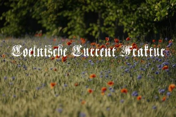 Coelnische Current Fraktur: A Bold Font Choice for Small Business Branding