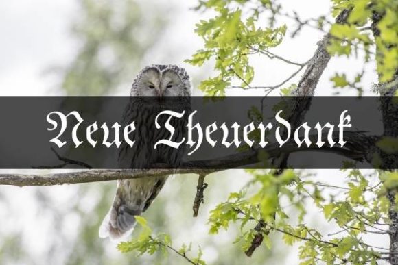 Neue Theuerdank: A Bold Gothic Font for Web Design